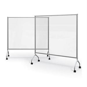 d large clear divider platinum frame