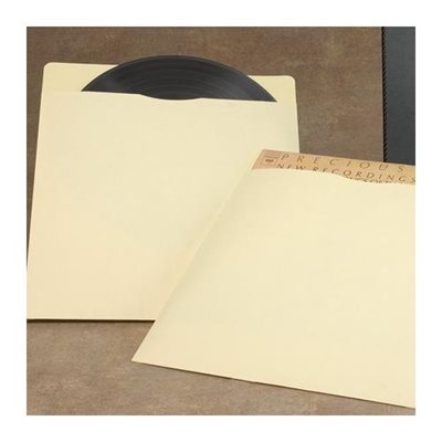 Pochette de rangement pour vinyles